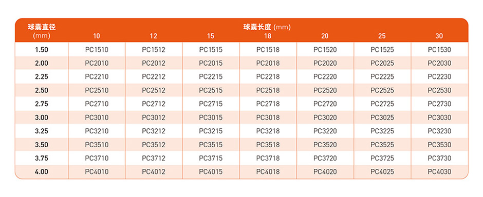 Yinyi? Balloon Dilatation Catheter(圖3)